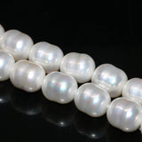 Natural Pearl Shell Irregular Barrel Rice Loose Beads 12*15mm