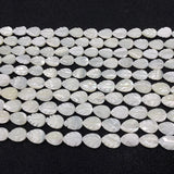 Natural Polished Shell Beads Drop Shape Leaf Charm Necklace Earrings