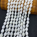 Natural Polished Shell Beads Drop Shape Leaf Charm Necklace Earrings