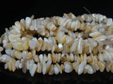 Natural Sea Shell Gems 5-8mm Chip Beads 35'' 5 Strands/Pack