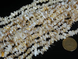 Natural Sea Shell Gems 5-8mm Chip Beads 35'' 5 Strands/Pack