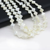 Shell Beaded Mother Of Pearl Loose Spacer Beads For DIY Jewelry Making