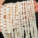 Shell Beads Mother Of Pearl Loose Charms For Jewelry Making
