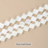 Four-Leaf Clover Mother Of Pearl Beads for Jewelry Making