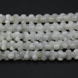 Natural Shell Mother Of Pearl Septal Beads Jewelry
