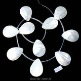 Natural Shell Smooth Petal Shape Beads 10Pcs