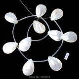 Natural Shell Smooth Petal Shape Beads 10Pcs