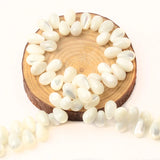 Natural Shell Beads for Jewelry Making DIY