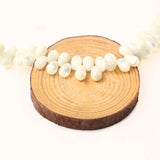 Natural Shell Beads for Jewelry Making DIY