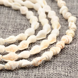 Natural Conch Shell Beads Spacer for Jewelry Making DIY Women Accessories