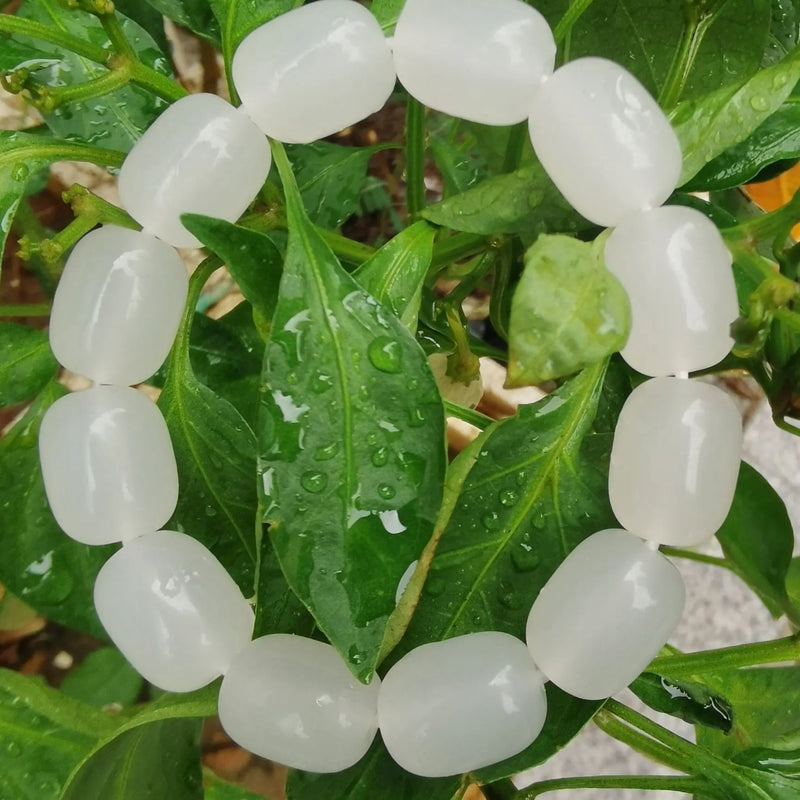 Hand-carved Hetian Chalcedony Jade Bead Bracelets for Couples