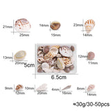 Natural Conch Resin Filling Tool for DIY Epoxy Jewelry Making