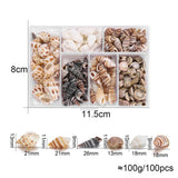 Natural Conch Resin Filling Tool for DIY Epoxy Jewelry Making