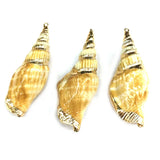 Conch Pendants Charms for Jewelry Making DIY Bracelet Necklaces