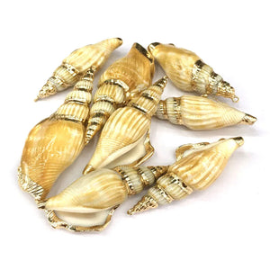 Conch Pendants Charms for Jewelry Making DIY Bracelet Necklaces
