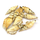 Conch Pendants Charms for Jewelry Making DIY Bracelet Necklaces