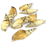 Conch Pendants Charms for Jewelry Making DIY Bracelet Necklaces