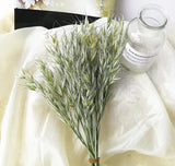 Real Oat Dried Flowers DIY Arrangement Wedding Party Home Decor