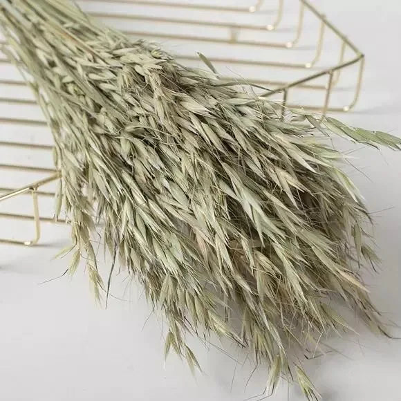 Real Oat Dried Flowers DIY Arrangement Wedding Party Home Decor