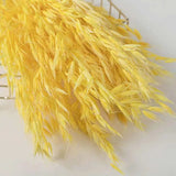 Real Oat Dried Flowers DIY Arrangement Wedding Party Home Decor
