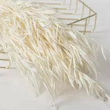 Real Oat Dried Flowers DIY Arrangement Wedding Party Home Decor