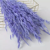 Real Oat Dried Flowers DIY Arrangement Wedding Party Home Decor
