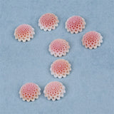 25mm Pink Mabe Pearl Pendant Natural Freshwater Pearls Loose Beads