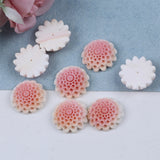 25mm Pink Mabe Pearl Pendant Natural Freshwater Pearls Loose Beads