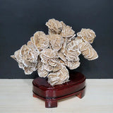 Desert Rose Stone Ornament for Home Decor