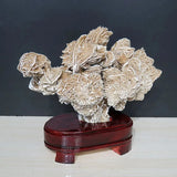 Desert Rose Stone Ornament for Home Decor