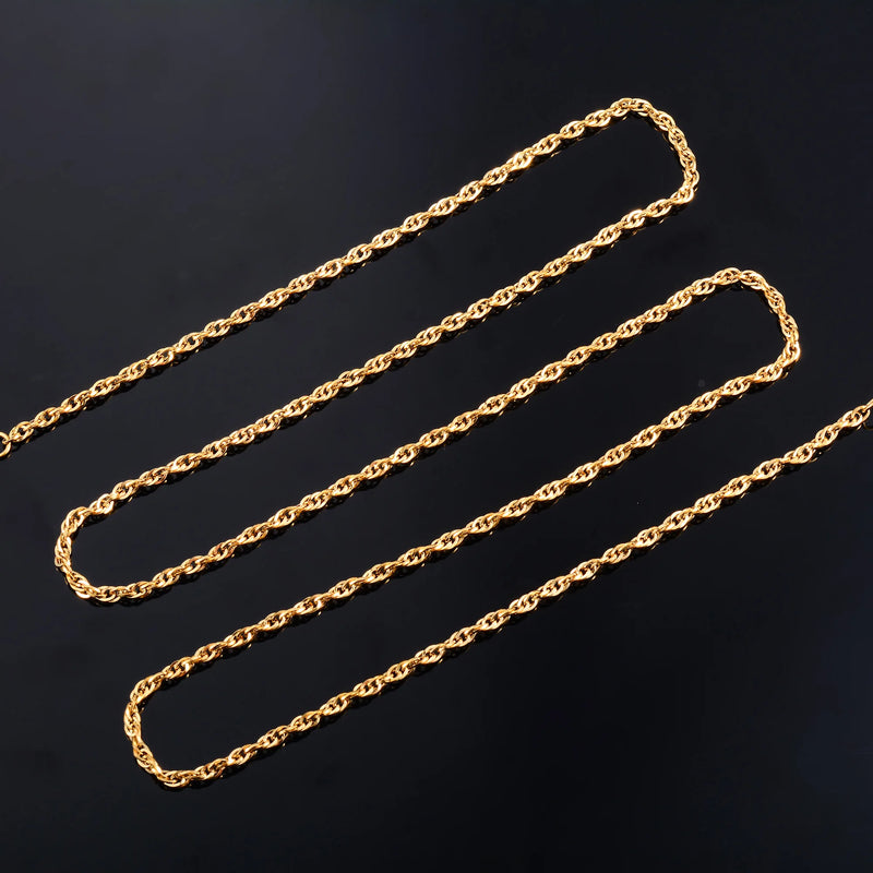 Punk Stainless Steel Twist Link Chain Necklace