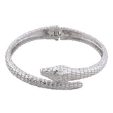 NeeFuWoFu Snake Alloy Bracelet Open Spring Buckle Gradient Manual