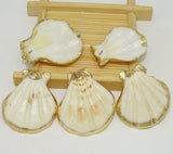 10pcs Conch Shell Shape Metal Plated Female Jewelry Shell Pendants