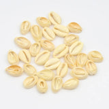 10pcs Shell Painted Beach Conch Cowry Spacer Beads For DIY Bracelet