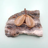 Indonesian Coral Drop Earrings For Women 30x17x4mm 4g