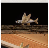 Ocean Flying Fish Brooch Creative Punk Micro-channel Banquet Jewelry Accessories
