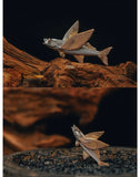 Ocean Flying Fish Brooch Creative Punk Micro-channel Banquet Jewelry Accessories