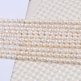 4-5mm Natural Freshwater Pearl Rice Pearl DIY Necklace Jewelry Material