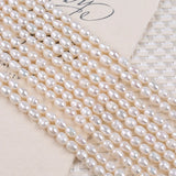 4-5mm Natural Freshwater Pearl Rice Pearl DIY Necklace Jewelry Material