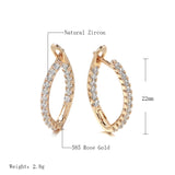 Long Drop Inlay Zircon Earrings Fine Hanging Ear Hoops