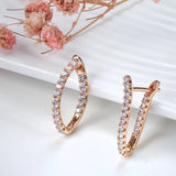 Long Drop Inlay Zircon Earrings Fine Hanging Ear Hoops