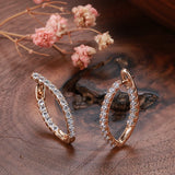 Long Drop Inlay Zircon Earrings Fine Hanging Ear Hoops
