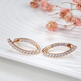 Long Drop Inlay Zircon Earrings Fine Hanging Ear Hoops