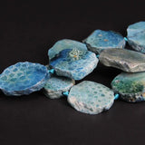 Chrysanthemum Stone Raw Slab Nugget Beads Ocean Coral Jades Fossils Agates