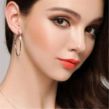 925 Silver Car Flower Earrings Women Jewelry Gift