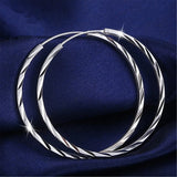 925 Silver Micro-Inlaid Zircon U-Shaped Earrings Gift