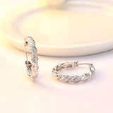 925 Silver Earrings With AAAAA Zircon
