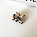 Acetate Hair Clip Claw Barrette Hairpins