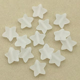 Acrylic Clear Frosted Star Beads 900pcs