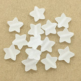 Acrylic Clear Frosted Star Beads 900pcs
